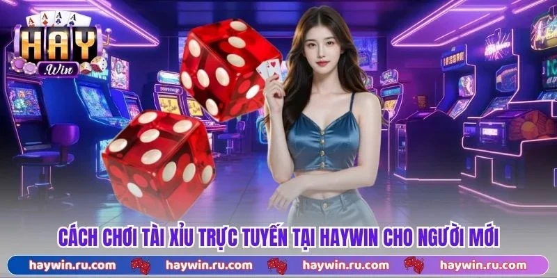 Cách chơi tài xỉu trực tuyến tại Haywin cho người mới