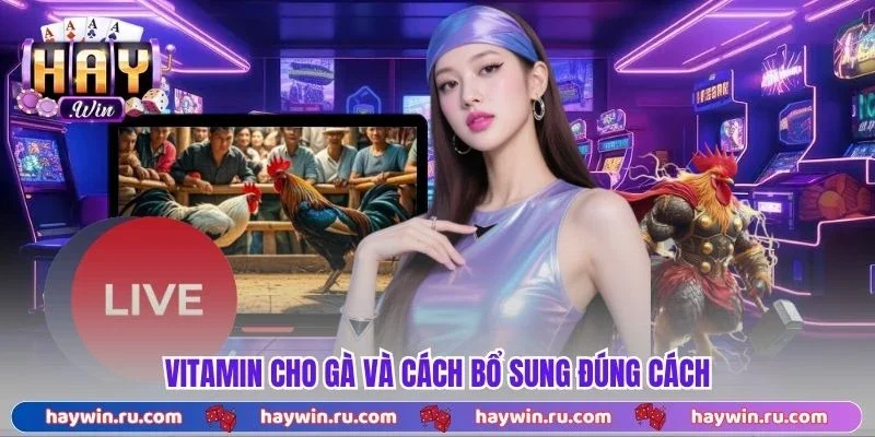 Vitamin Cho Gà Là Gì? Cách Bổ Sung Hiệu Quả Nhất 2026 Vitamin cho gà và cách bổ sung đúng cách