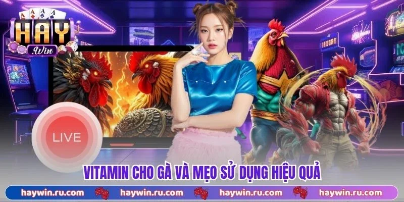 Vitamin Cho Gà Là Gì? Cách Bổ Sung Hiệu Quả Nhất 2026 Vitamin cho gà và mẹo sử dụng hiệu quả